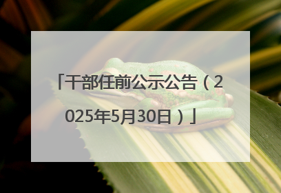 干部任前公示公告（2025年5月30日）
