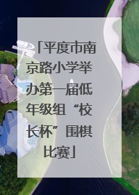 平度市南京路小学举办第一届低年级组“校长杯”围棋比赛