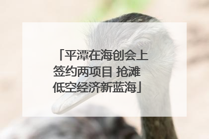 平潭在海创会上签约两项目 抢滩低空经济新蓝海