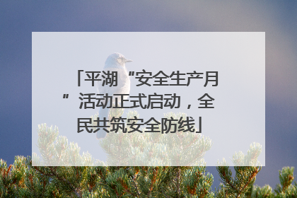 平湖“安全生产月”活动正式启动，全民共筑安全防线
