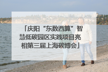 庆阳“东数西算”智慧低碳园区实践项目亮相第三届上海碳博会