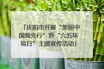 庆阳市开展“美丽中国我先行”暨“六五环境日”主题宣传活动