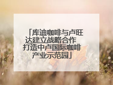 库迪咖啡与卢旺达建立战略合作 打造中卢国际咖啡产业示范园
