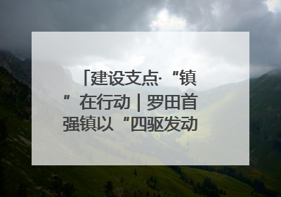 建设支点·“镇”在行动｜罗田首强镇以“四驱发动”践行首镇担当