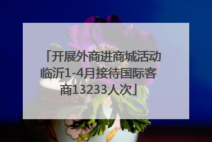 开展外商进商城活动 临沂1-4月接待国际客商13233人次