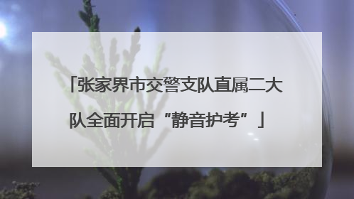 张家界市交警支队直属二大队全面开启“静音护考”