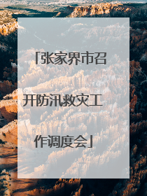 张家界市召开防汛救灾工作调度会