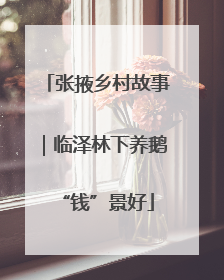 张掖乡村故事｜临泽林下养鹅“钱”景好