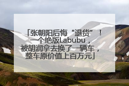 张朝阳后悔“退货”！一个绝版Labubu，被胡润拿去换了一辆车，整车原价值上百万元