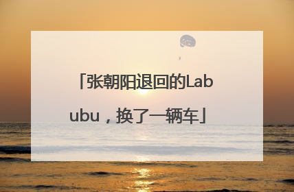 张朝阳退回的Labubu，换了一辆车