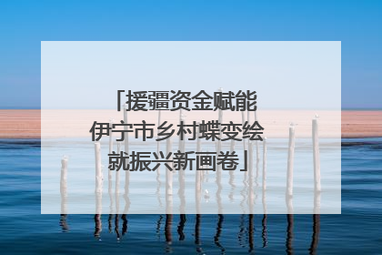 援疆资金赋能 伊宁市乡村蝶变绘就振兴新画卷