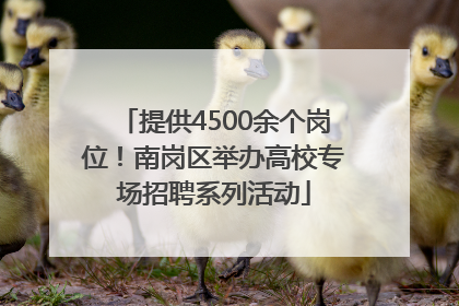 提供4500余个岗位！南岗区举办高校专场招聘系列活动