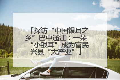 探访“中国银耳之乡”巴中通江：一朵“小银耳”成为富民兴县“大产业”