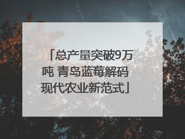总产量突破9万吨 青岛蓝莓解码现代农业新范式