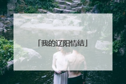 我的辽阳情结