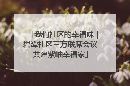 我们社区的幸福味｜碧潭社区三方联席会议共建紫岫幸福家