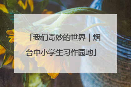 我们奇妙的世界｜烟台中小学生习作园地