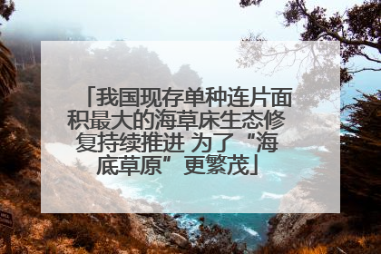 我国现存单种连片面积最大的海草床生态修复持续推进 为了“海底草原”更繁茂
