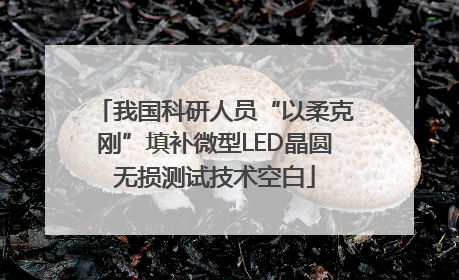 我国科研人员“以柔克刚”填补微型LED晶圆无损测试技术空白