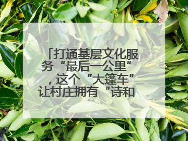 打通基层文化服务“最后一公里”，这个“大篷车”让村庄拥有“诗和远方”