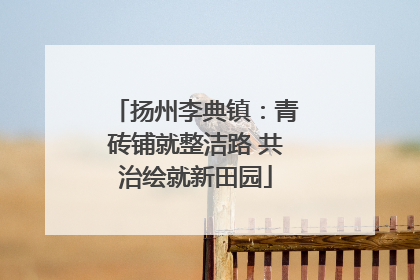 扬州李典镇：青砖铺就整洁路 共治绘就新田园