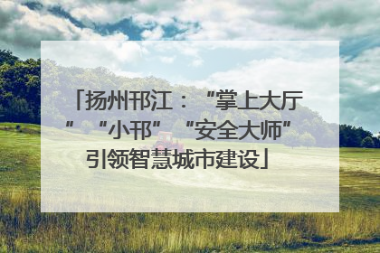 扬州邗江：“掌上大厅”“小邗”“安全大师”引领智慧城市建设