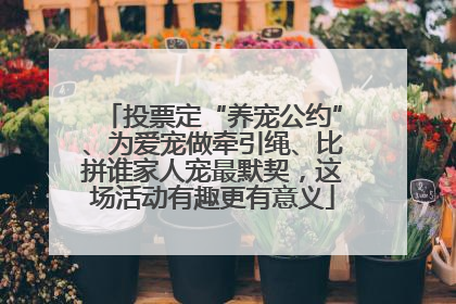 投票定“养宠公约”、为爱宠做牵引绳、比拼谁家人宠最默契，这场活动有趣更有意义