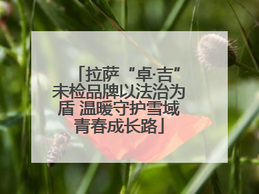 拉萨“卓·吉”未检品牌以法治为盾 温暖守护雪域青春成长路