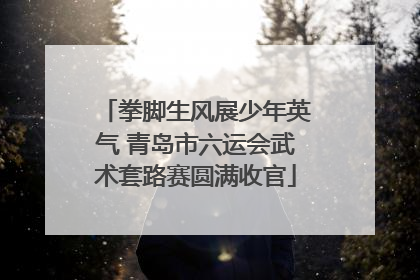 拳脚生风展少年英气 青岛市六运会武术套路赛圆满收官