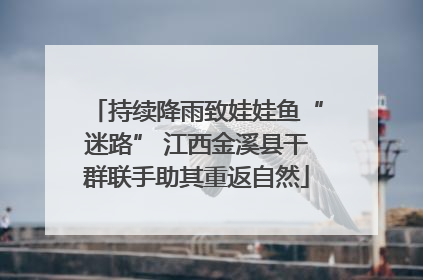 持续降雨致娃娃鱼“迷路” 江西金溪县干群联手助其重返自然