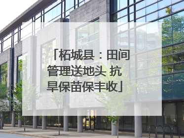 柘城县：田间管理送地头 抗旱保苗保丰收