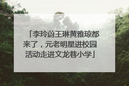 李玲蔚王琳黄雅琼都来了，元老明星进校园活动走进文龙巷小学