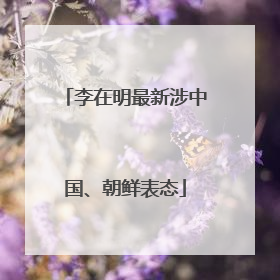 李在明最新涉中国、朝鲜表态