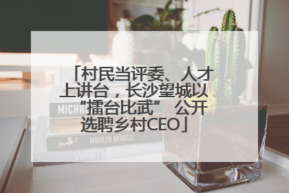 村民当评委、人才上讲台，长沙望城以“擂台比武” 公开选聘乡村CEO