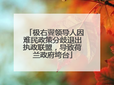 极右翼领导人因难民政策分歧退出执政联盟，导致荷兰政府垮台