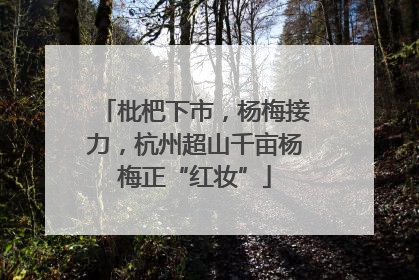 枇杷下市，杨梅接力，杭州超山千亩杨梅正“红妆”