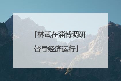 林武在淄博调研督导经济运行