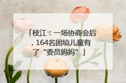 枝江：一场协商会后，164名困境儿童有了“委员妈妈”