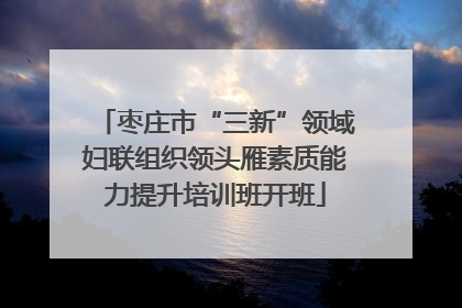 枣庄市“三新”领域妇联组织领头雁素质能力提升培训班开班