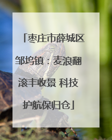枣庄市薛城区邹坞镇：麦浪翻滚丰收景 科技护航保归仓