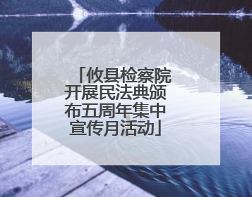 攸县检察院开展民法典颁布五周年集中宣传月活动