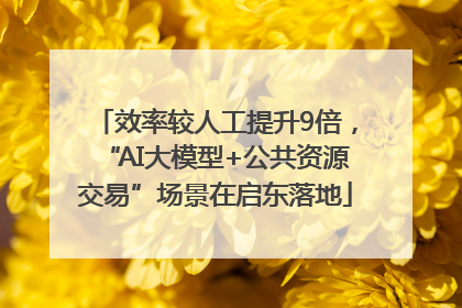 效率较人工提升9倍，“AI大模型+公共资源交易”场景在启东落地