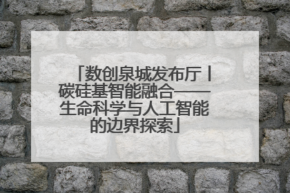 数创泉城发布厅丨碳硅基智能融合——生命科学与人工智能的边界探索