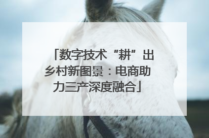 数字技术“耕”出乡村新图景：电商助力三产深度融合