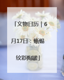 文物日历｜6月17日：蜥蜴纹彩陶罐
