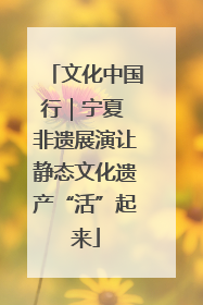 文化中国行｜宁夏 非遗展演让静态文化遗产“活”起来