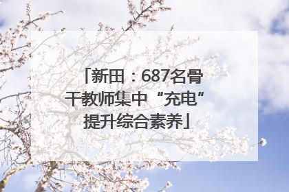 新田：687名骨干教师集中“充电” 提升综合素养