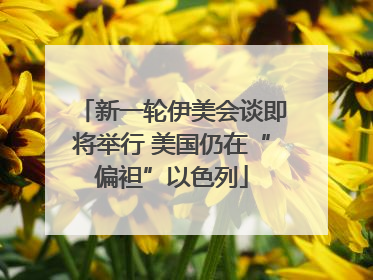 新一轮伊美会谈即将举行 美国仍在“偏袒”以色列