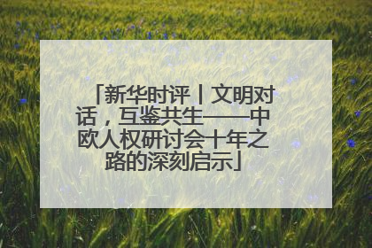 新华时评丨文明对话，互鉴共生——中欧人权研讨会十年之路的深刻启示
