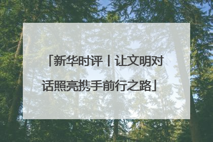 新华时评丨让文明对话照亮携手前行之路